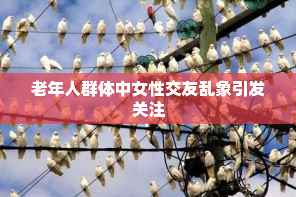 老年人群体中女性交友乱象引发关注