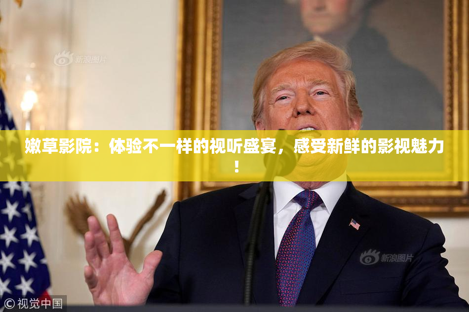 嫩草影院：体验不一样的视听盛宴，感受新鲜的影视魅力！