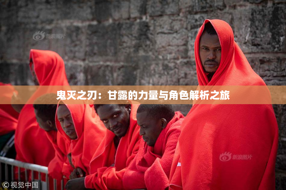 鬼灭之刃：甘露的力量与角色解析之旅