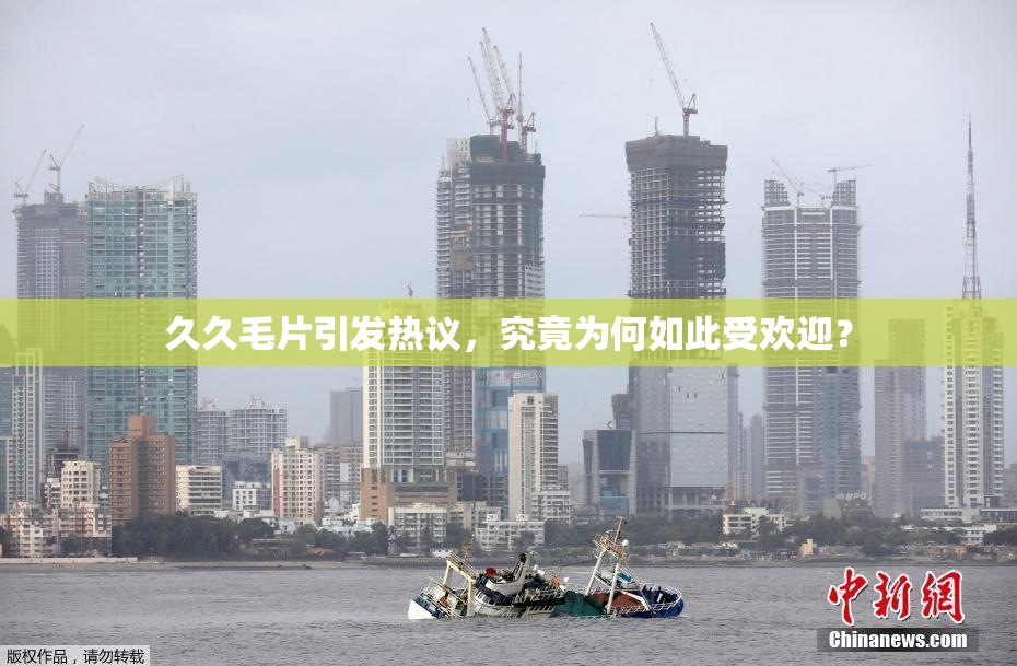 久久毛片引发热议，究竟为何如此受欢迎？