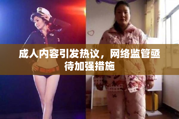 成人内容引发热议，网络监管亟待加强措施