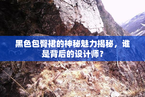 黑色包臀裙的神秘魅力揭秘，谁是背后的设计师？