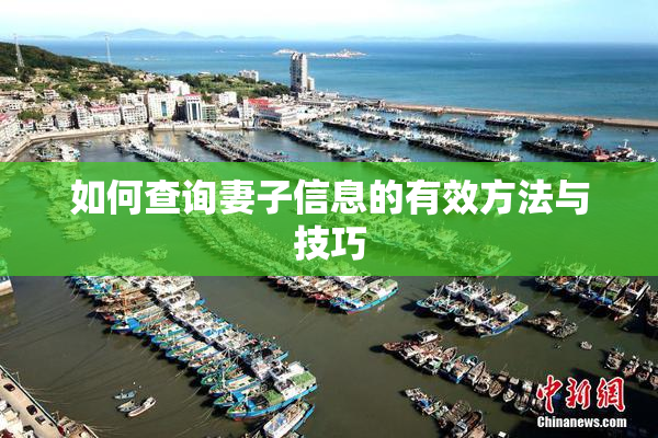 如何查询妻子信息的有效方法与技巧