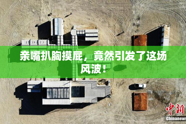 亲嘴扒胸摸屁，竟然引发了这场风波！