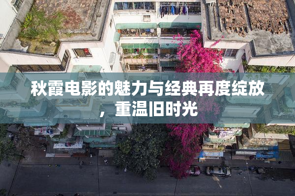 秋霞电影的魅力与经典再度绽放，重温旧时光