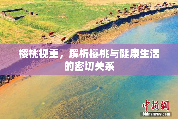 樱桃视重，解析樱桃与健康生活的密切关系