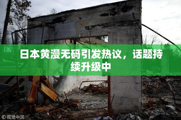 日本黄漫无码引发热议，话题持续升级中