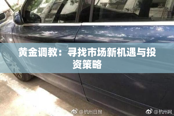 黄金调教：寻找市场新机遇与投资策略
