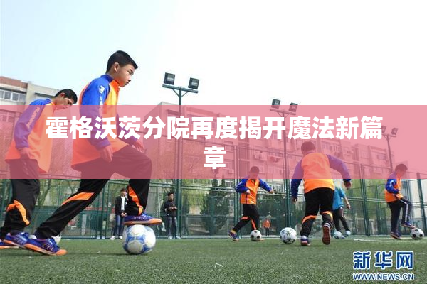霍格沃茨分院再度揭开魔法新篇章