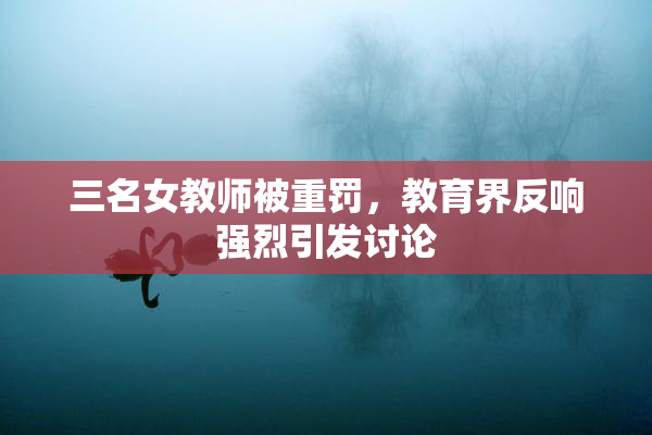 三名女教师被重罚，教育界反响强烈引发讨论