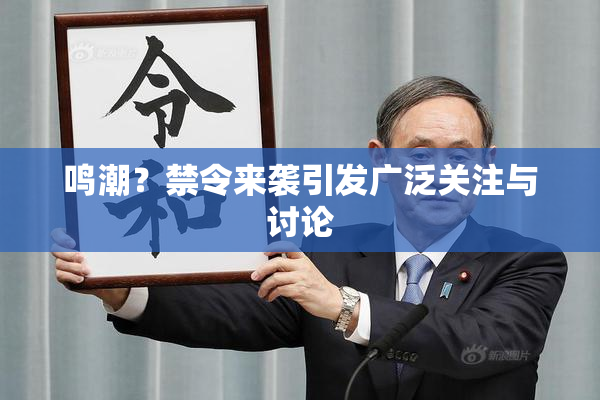 鸣潮？禁令来袭引发广泛关注与讨论