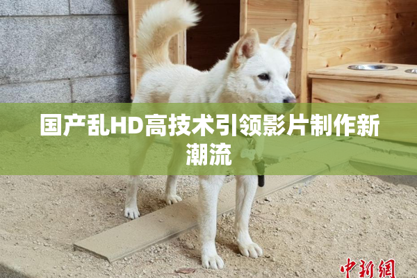 国产乱HD高技术引领影片制作新潮流
