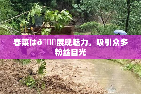 春菜は🍑展现魅力，吸引众多粉丝目光