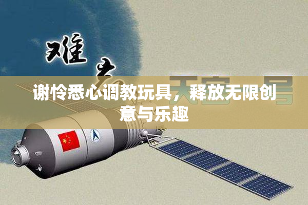 谢怜悉心调教玩具，释放无限创意与乐趣