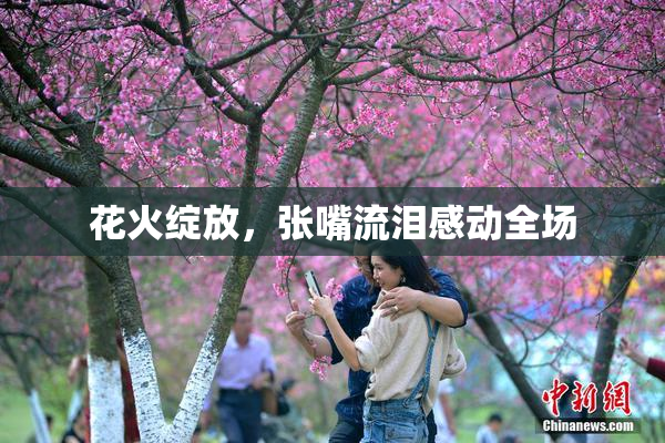 花火绽放，张嘴流泪感动全场