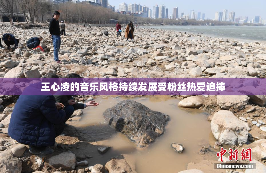 王心凌的音乐风格持续发展受粉丝热爱追捧