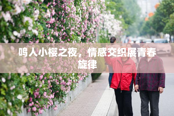 鸣人小樱之夜，情感交织展青春旋律