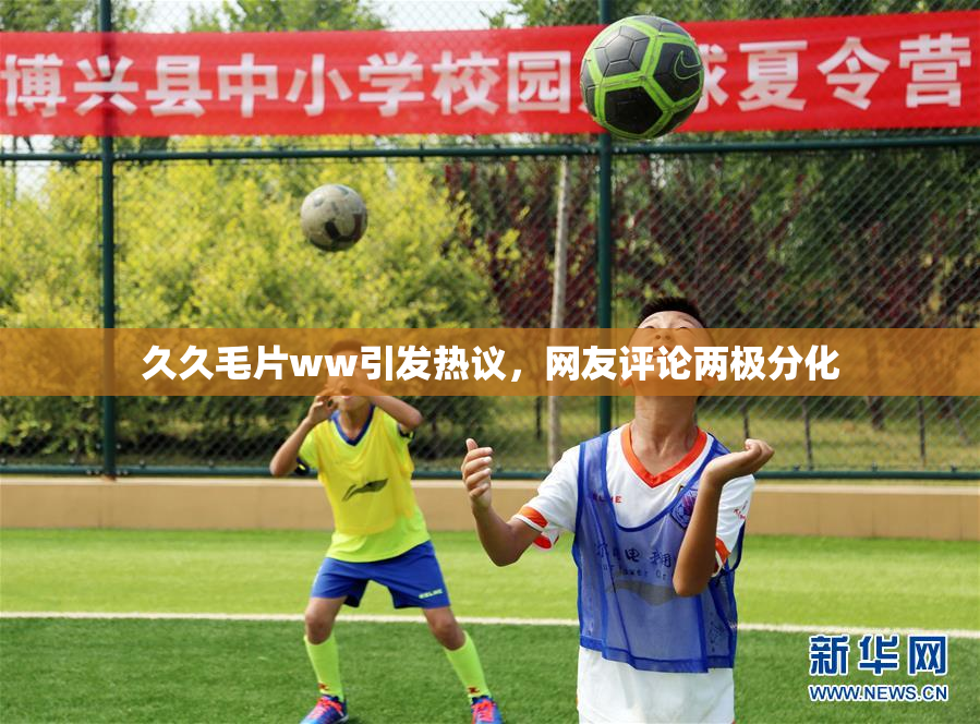 久久毛片ww引发热议，网友评论两极分化