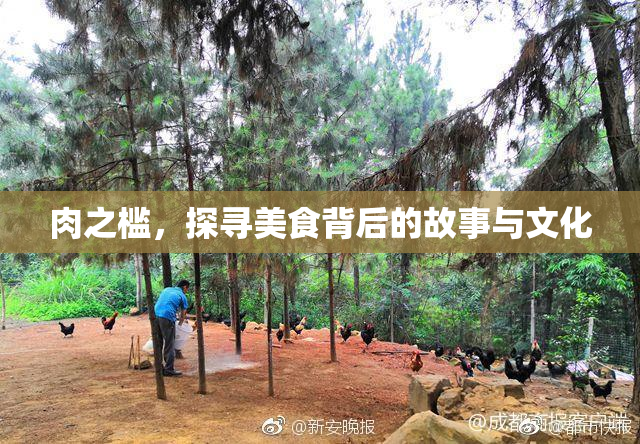 肉之槛，探寻美食背后的故事与文化