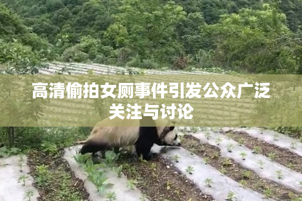 高清偷拍女厕事件引发公众广泛关注与讨论