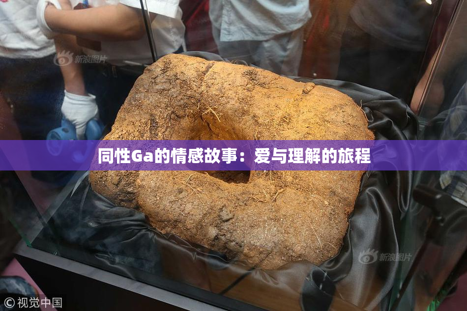 同性Ga的情感故事：爱与理解的旅程