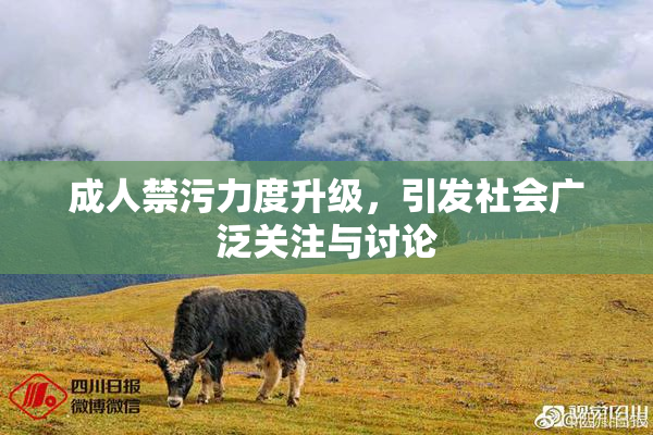 成人禁污力度升级，引发社会广泛关注与讨论