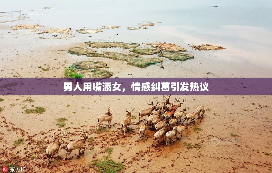 男人用嘴添女，情感纠葛引发热议