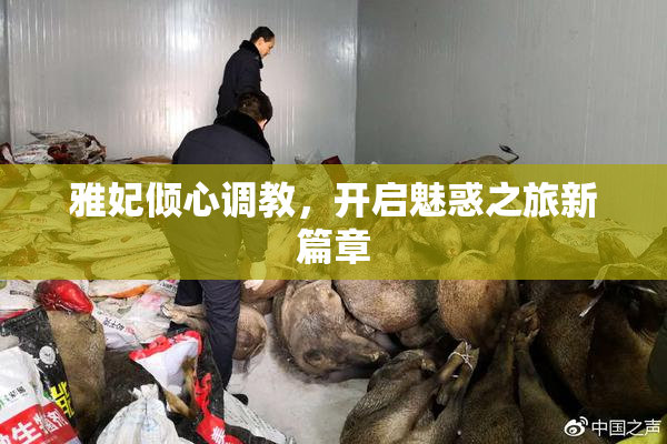 雅妃倾心调教，开启魅惑之旅新篇章