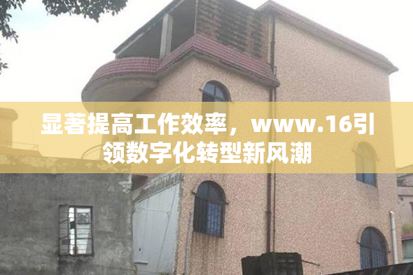显著提高工作效率，www.16引领数字化转型新风潮