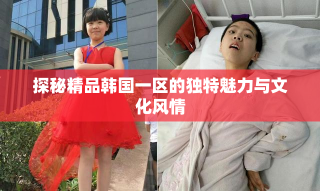 探秘精品韩国一区的独特魅力与文化风情