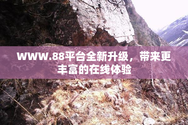 WWW.88平台全新升级，带来更丰富的在线体验
