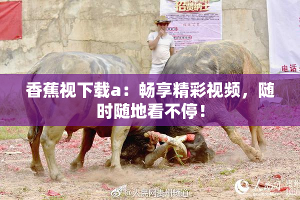 香蕉视下载a：畅享精彩视频，随时随地看不停！