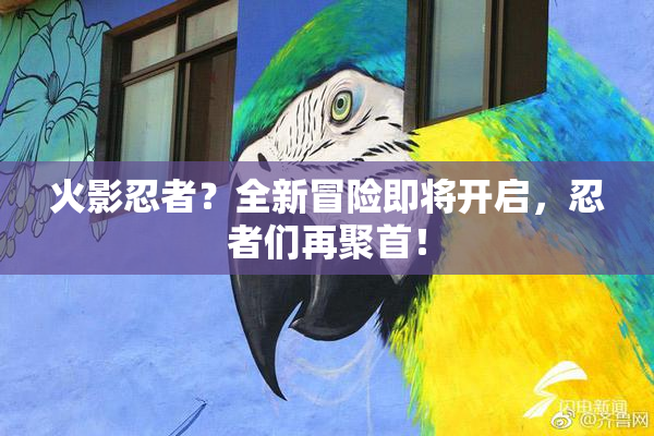 火影忍者？全新冒险即将开启，忍者们再聚首！