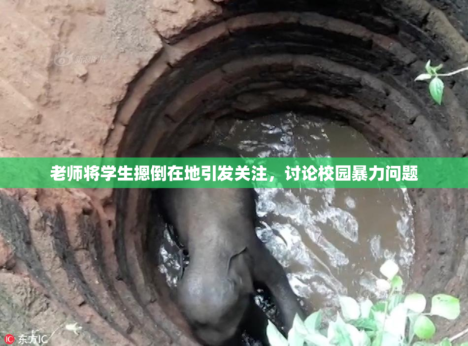 老师将学生摁倒在地引发关注，讨论校园暴力问题