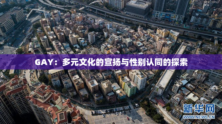 GAY：多元文化的宣扬与性别认同的探索