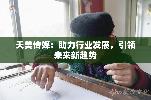 天美传媒：助力行业发展，引领未来新趋势