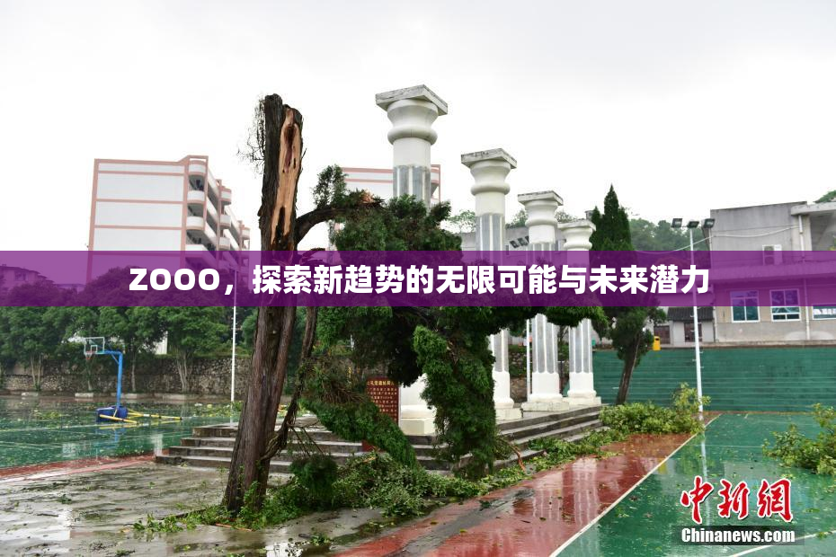ZOOO，探索新趋势的无限可能与未来潜力