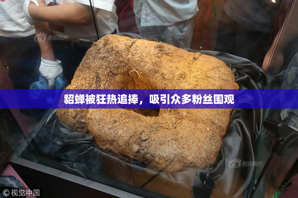 貂蝉被狂热追捧，吸引众多粉丝围观