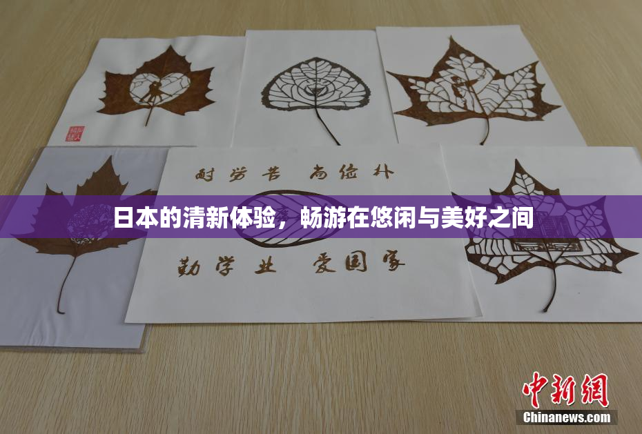日本的清新体验，畅游在悠闲与美好之间