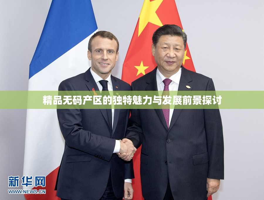 精品无码产区的独特魅力与发展前景探讨