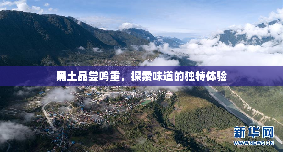 黑土品尝鸣重，探索味道的独特体验
