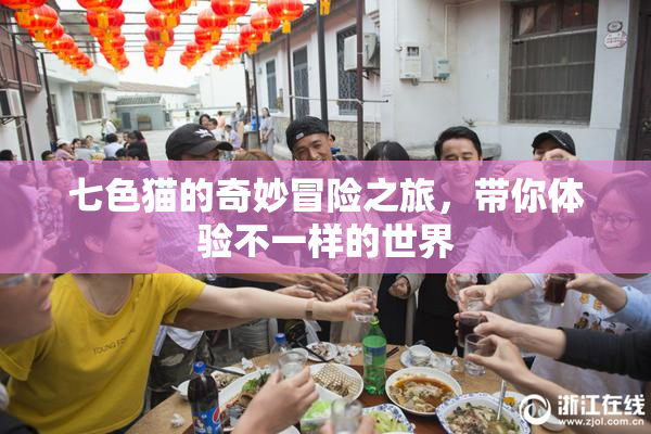 七色猫的奇妙冒险之旅，带你体验不一样的世界