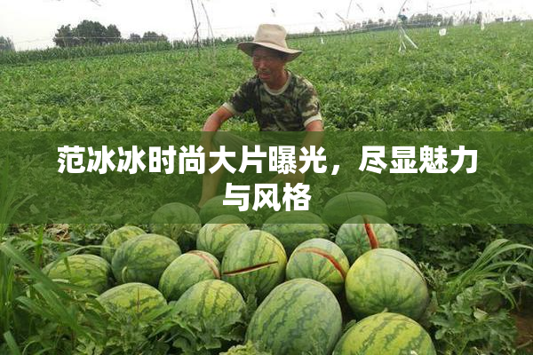 范冰冰时尚大片曝光，尽显魅力与风格