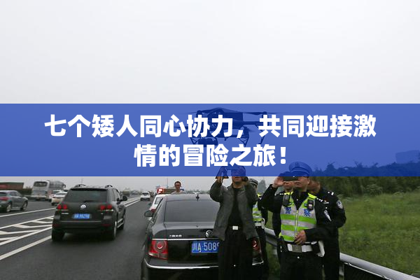 七个矮人同心协力，共同迎接激情的冒险之旅！
