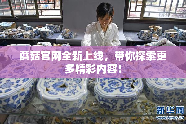 蘑菇官网全新上线，带你探索更多精彩内容！