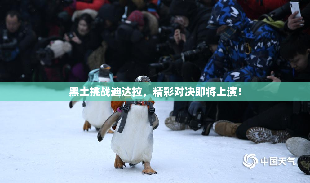黑土挑战迪达拉，精彩对决即将上演！