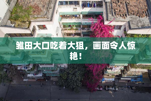 雏田大口吃着大狙，画面令人惊艳！