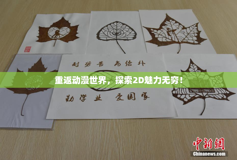重返动漫世界，探索2D魅力无穷！