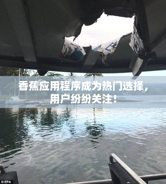 香蕉应用程序成为热门选择，用户纷纷关注！