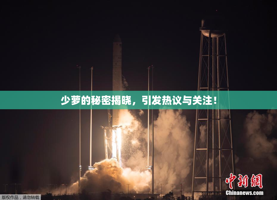 少萝的秘密揭晓，引发热议与关注！
